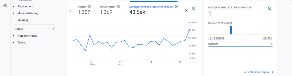 Ausschnitt aus Google-Analytics