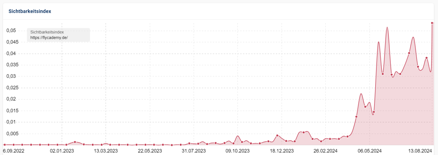 SEO Graph von der FlyCademy